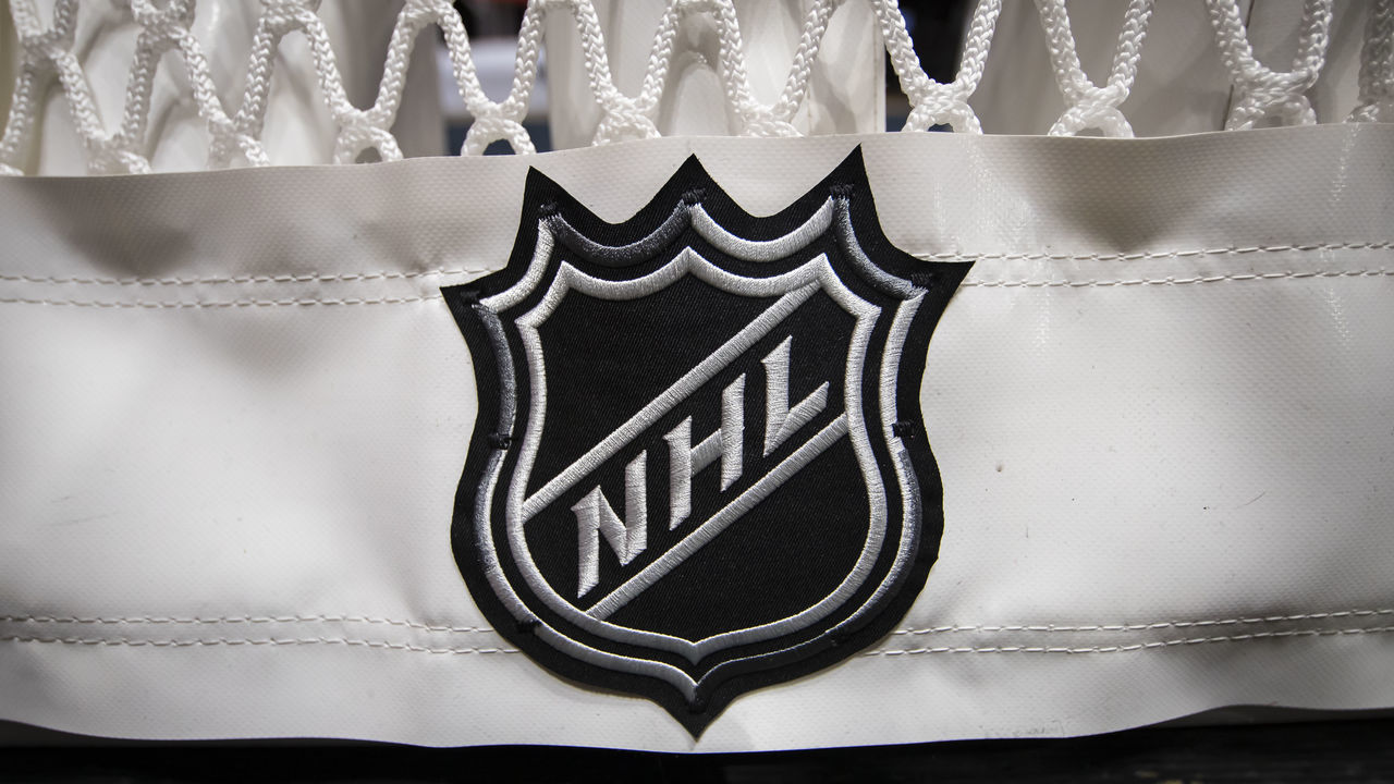 WASHINGTON, DC - OCTOBER 16: A detailed view of the NHL logo on the back of the goal netting before the game between the Washington Capitals and the Toronto Maple Leafs at Capital One Arena on October 16, 2019 in Washington, DC.