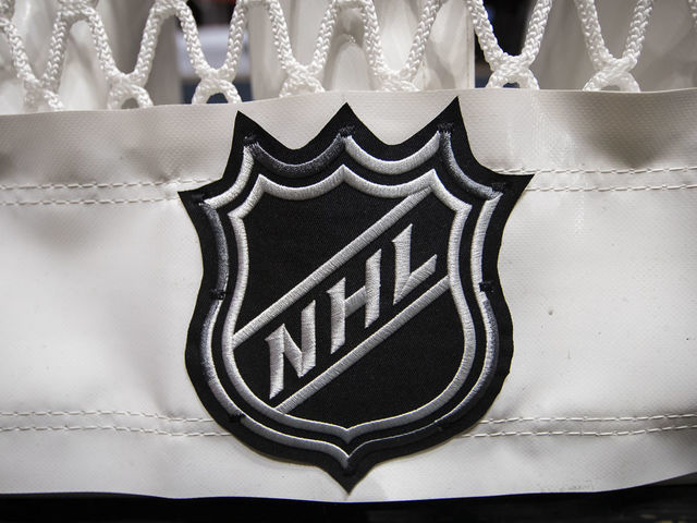 WASHINGTON, DC - OCTOBER 16: A detailed view of the NHL logo on the back of the goal netting before the game between the Washington Capitals and the Toronto Maple Leafs at Capital One Arena on October 16, 2019 in Washington, DC.