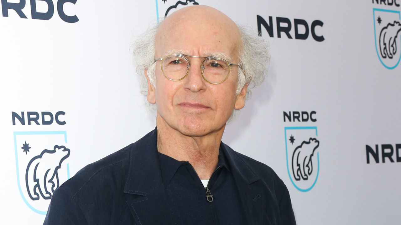 BEVERLY HILLS, CA - APRIL 25: Comedian / Writer Larry David attends the Natural Resources Defense Council's STAND UP! for the Planet benefit at Wallis Annenberg Center for the Performing Arts on April 25, 2017 in Beverly Hills, California.