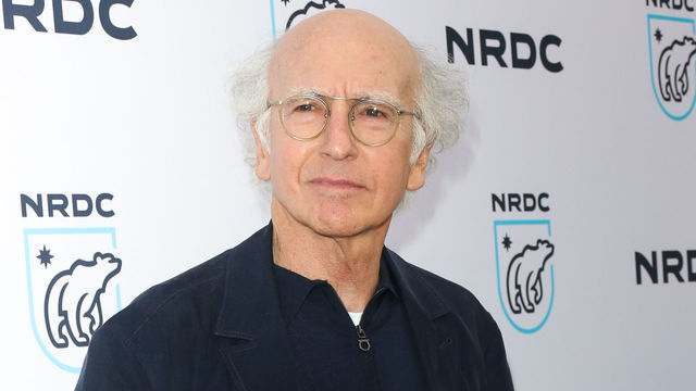BEVERLY HILLS, CA - APRIL 25: Comedian / Writer Larry David attends the Natural Resources Defense Council's STAND UP! for the Planet benefit at Wallis Annenberg Center for the Performing Arts on April 25, 2017 in Beverly Hills, California.