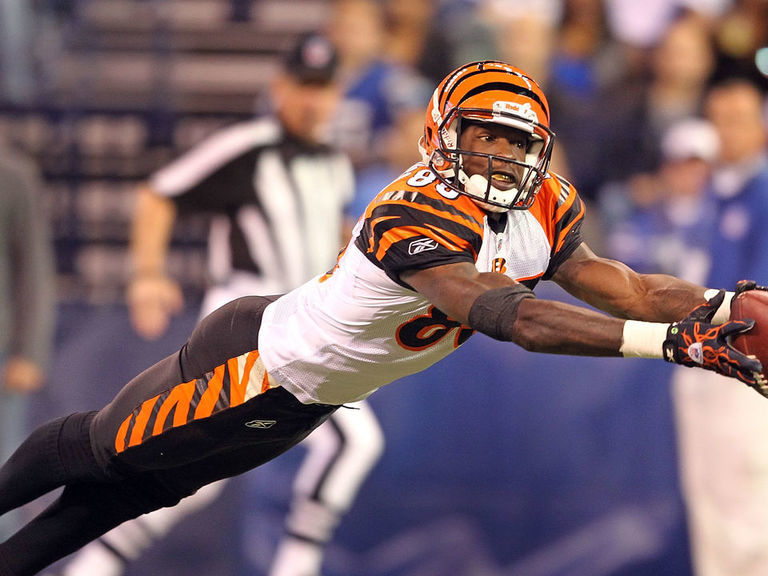 Cincinnati Bengals wide receiver Chad Ochocinco (85) puts his