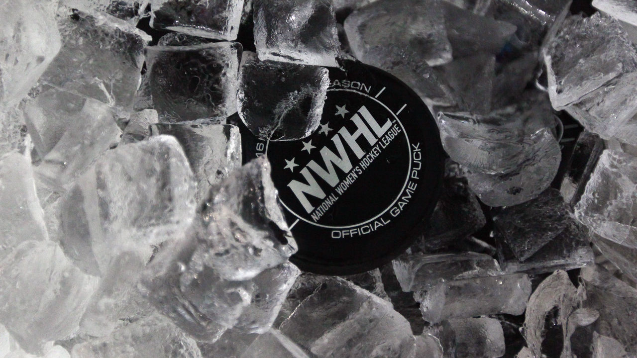 BROOKLYN, NY - OCTOBER 25: An official NWHL puck sits in an ice bucket prior to the game between the New York Riveters and the Connecticut Whale of the National Womens Hockey League on October 25, 2015 in Brooklyn borough of New York City.