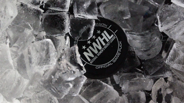 BROOKLYN, NY - OCTOBER 25: An official NWHL puck sits in an ice bucket prior to the game between the New York Riveters and the Connecticut Whale of the National Womens Hockey League on October 25, 2015 in Brooklyn borough of New York City.