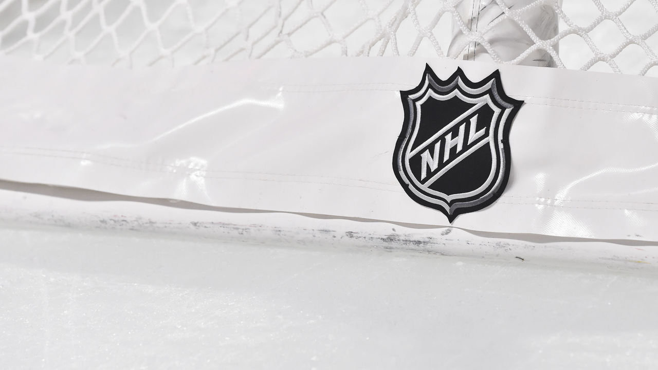 MONTREAL, QC - NOVEMBER 05: The NHL logo on the back of the goal netting between the Montreal Canadiens and the Boston Bruins at the Bell Centre on November 5, 2019 in Montreal, Canada. The Montreal Canadiens defeated the Boston Bruins 5-4.