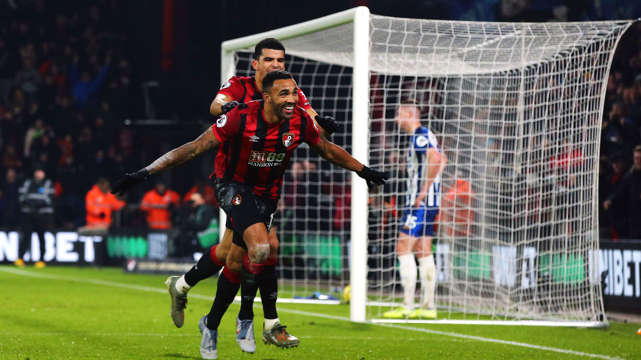 Bournemouth's Callum Wilson celebrates scoring his side's third goal of the game with Dominic Solanke (top) during the Premier League match at the Vitality Stadium, Bournemouth.