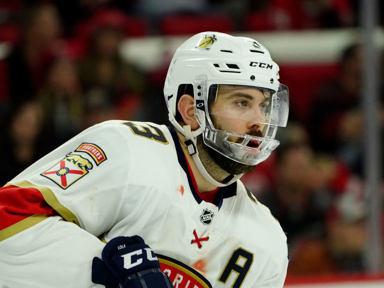 ccm full face shield