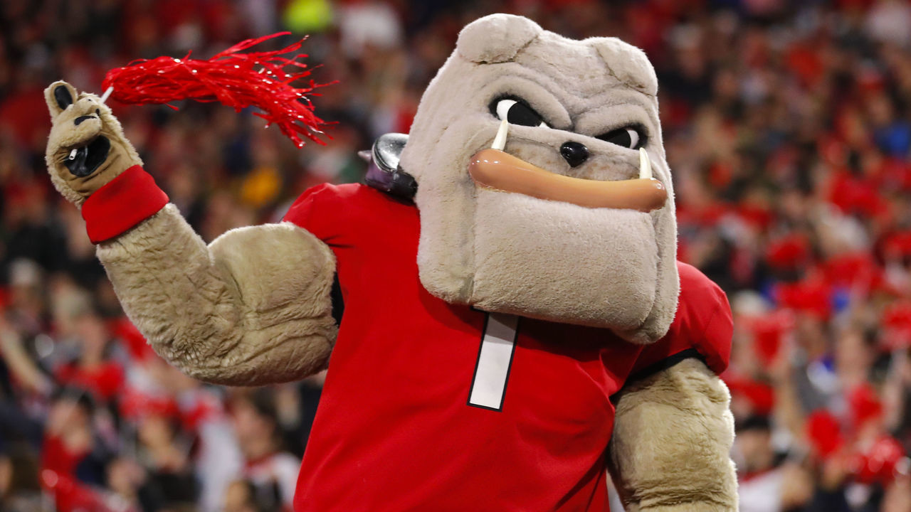 ATHENS, GA - NOVEMBER 23: Georgia Bulldogs mascot Hairy Dawg watches on in the second half of the Texas A&M Aggies v Georgia Bulldogs game on November 23, 2019 at Sanford Stadium in Athens, GA.
