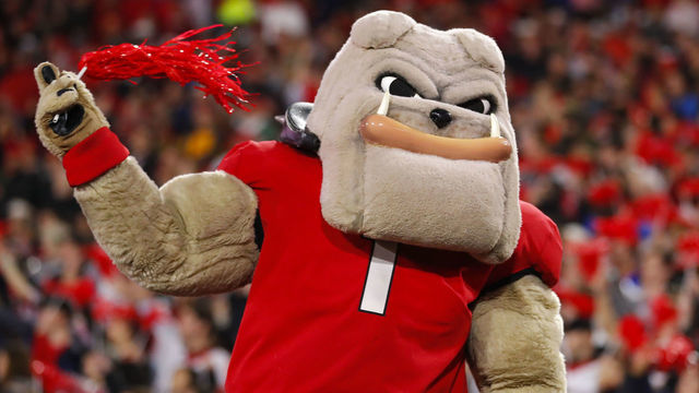 ATHENS, GA - NOVEMBER 23: Georgia Bulldogs mascot Hairy Dawg watches on in the second half of the Texas A&M Aggies v Georgia Bulldogs game on November 23, 2019 at Sanford Stadium in Athens, GA.