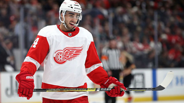 ANAHEIM, CALIFORNIA - NOVEMBER 12: Robby Fabbri #14 of the Detroit Red Wings looks on during the second period of a game against the Anaheim Ducks at Honda Center on November 12, 2019 in Anaheim, California.