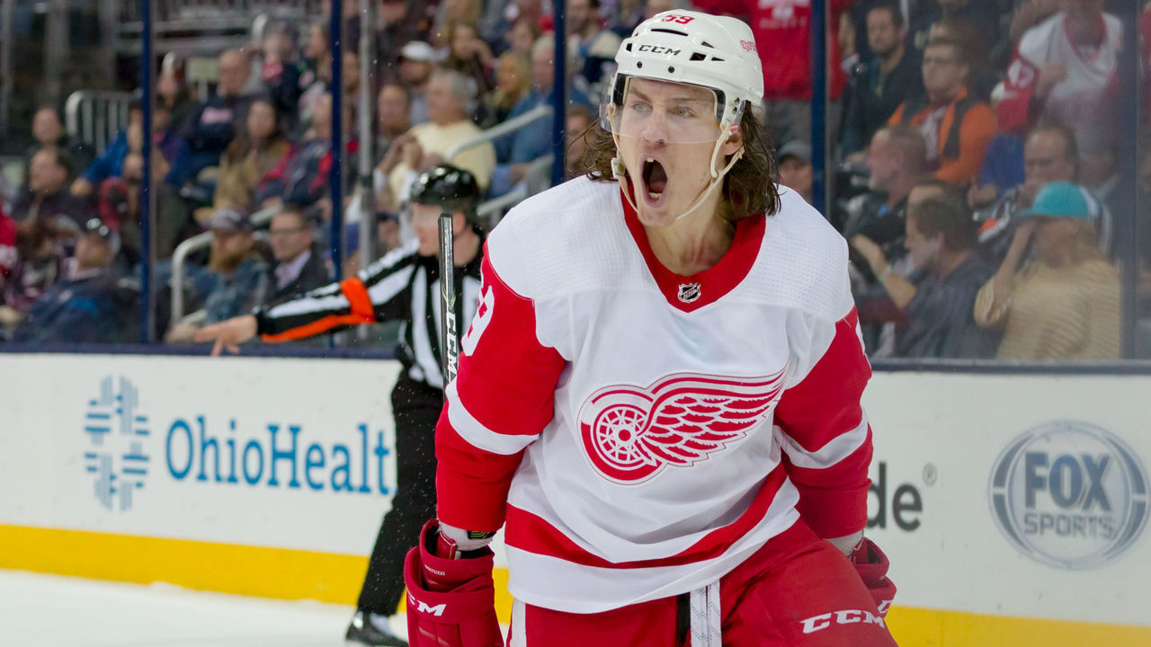 COLUMBUS, OH - OCTOBER 30: Detroit Red Wings left wing Tyler Bertuzzi (59) celebrates after scoring a goal to break the tie late in the third period of a game between the Columbus Blue Jackets and the Detroit Red Wings on October 30, 2018 at Nationwide Arena in Columbus, OH. The Red Wings won 5-3.