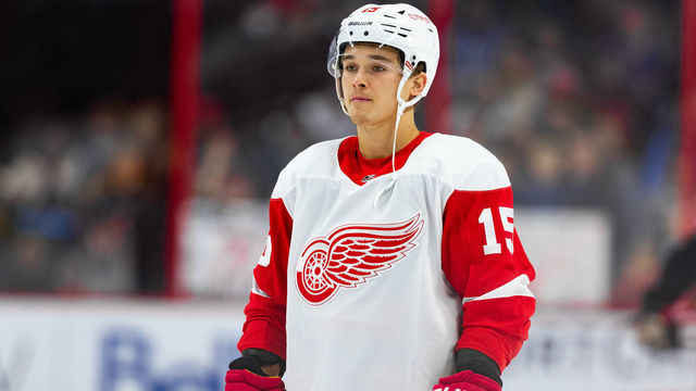 OTTAWA, ON - FEBRUARY 29: Detroit Red Wings Right Wing Dmytro Timashov (15) during warm-up before National Hockey League action between the Detroit Red Wings and Ottawa Senators on February 29, 2020, at Canadian Tire Centre in Ottawa, ON, Canada.
