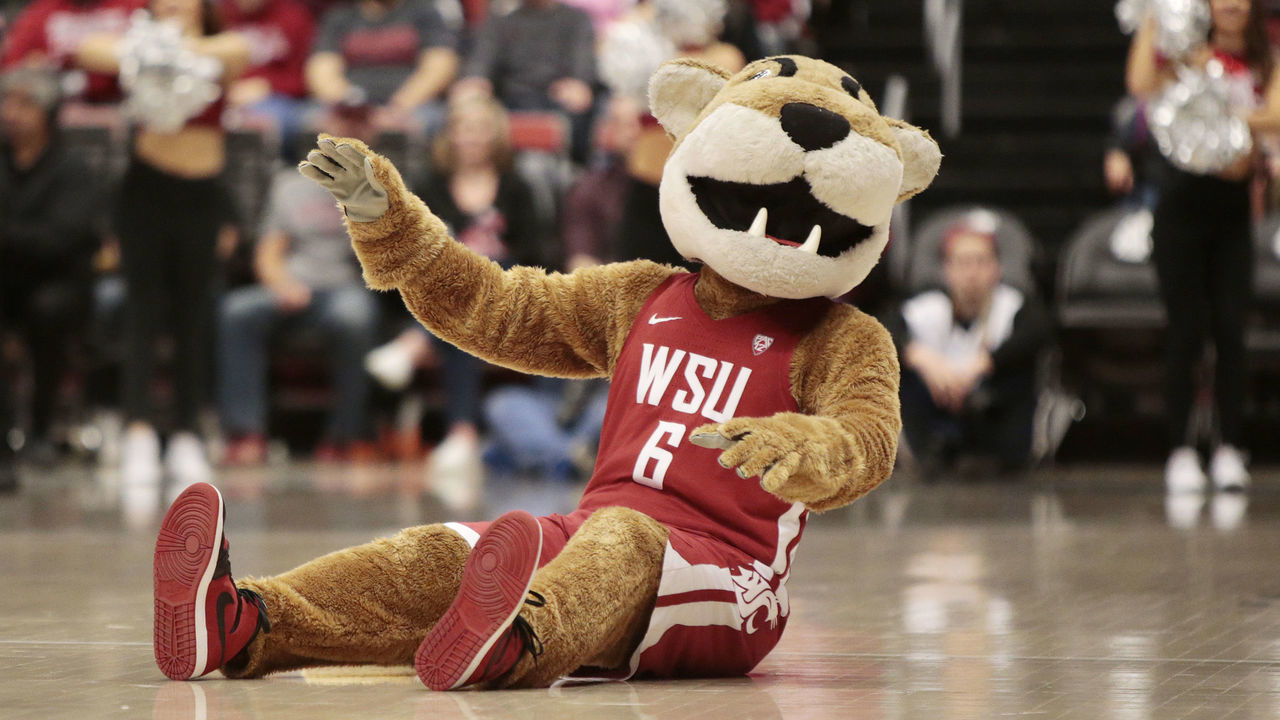 PULLMAN, WASHINGTON - FEBRUARY 23: Butch the mascot for the Washington State Cougars performs during a break in the game against the Stanford Cardinal at Beasley Coliseum on February 23, 2020 in Pullman, Washington. Stanford defeats Washington State 75-57.