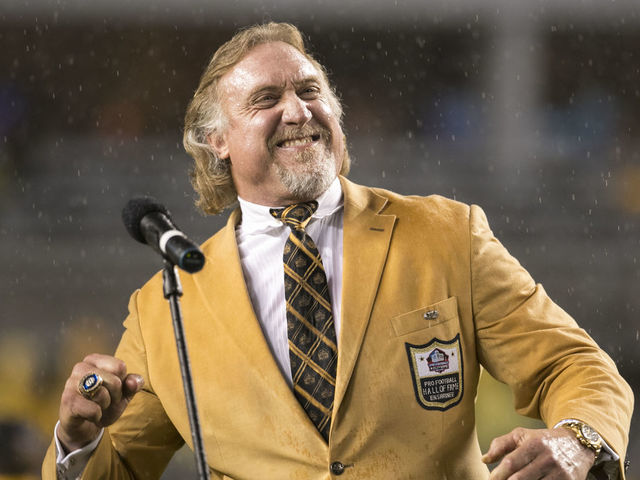 Linebacker Kevin Greene of the Carolina Panthers looks on during