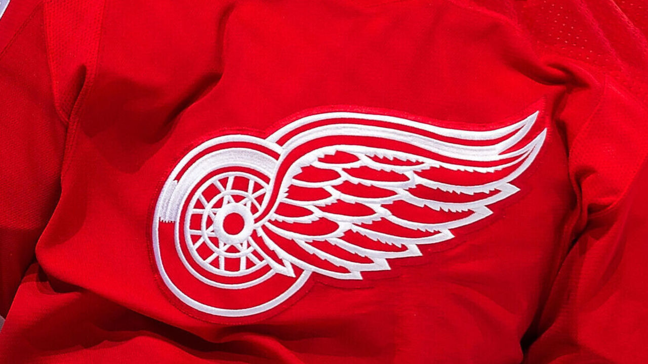 DETROIT, MI - NOVEMBER 10: Anthony Mantha #39 of the Detroit Red Wings celebrates his third period goal during an NHL game against the Vegas Golden Knights at Little Caesars Arena on November 10, 2019 in Detroit, Michigan. Detroit defeated Las 3-2.