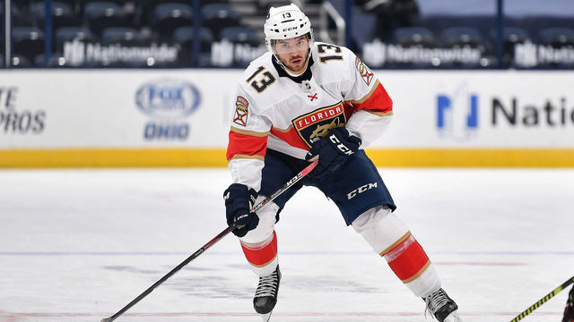 COLUMBUS, OH - JANUARY 28: Vinnie Hinostroza #13 of the Florida Panthers skates against the Columbus Blue Jackets on January 28, 2021 at Nationwide Arena in Columbus, Ohio.