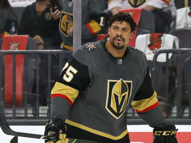 LAS VEGAS, NEVADA - MAY 28: Ryan Reaves #75 of the Vegas Golden Knights warms up before Game Seven of the First Round of the 2021 Stanley Cup Playoffs against the Minnesota Wild at T-Mobile Arena on May 28, 2021 in Las Vegas, Nevada.