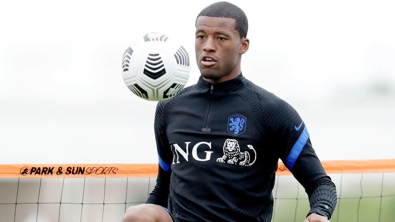 LAGOS, PORTUGAL - MAY 31: Georginio Wijnaldum of Holland during the Training MenTraining holland in Lagos at the Cascade Resort Training Ground on May 31, 2021 in Lagos Portugal