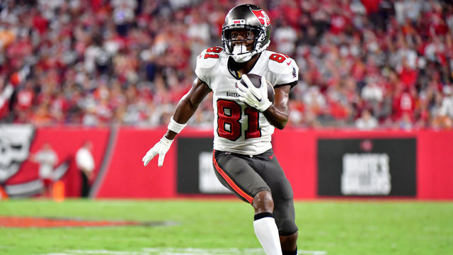 TAMPA, FLORIDA - SEPTEMBER 09: Antonio Brown #81 of the Tampa Bay Buccaneers carries the ball against the Dallas Cowboys during the fourth quarter at Raymond James Stadium on September 09, 2021 in Tampa, Florida.
