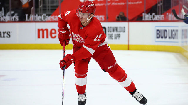 DETROIT, MICHIGAN - MAY 01: Jakub Vrana #15 of the Detroit Red Wings skates against the Tampa Bay Lightning at Little Caesars Arena on May 01, 2021 in Detroit, Michigan.