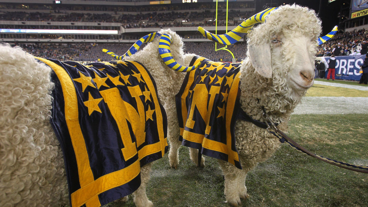 PHILADELPHIA - DECEMBER 11: Two Navy ram mascots stand on the sideline during a game against the Army Black Knights on December 11, 2010 at Lincoln Financial Field in Philadelphia, Pennsylvania. The Midshipmen won 31-17.