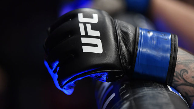 RALEIGH, NORTH CAROLINA - JANUARY 25: A detail shot of the UFC glove as Darko Stosic of Serbia rests against the cage during the UFC Fight Night event at PNC Arena on January 25, 2020 in Raleigh, North Carolina.