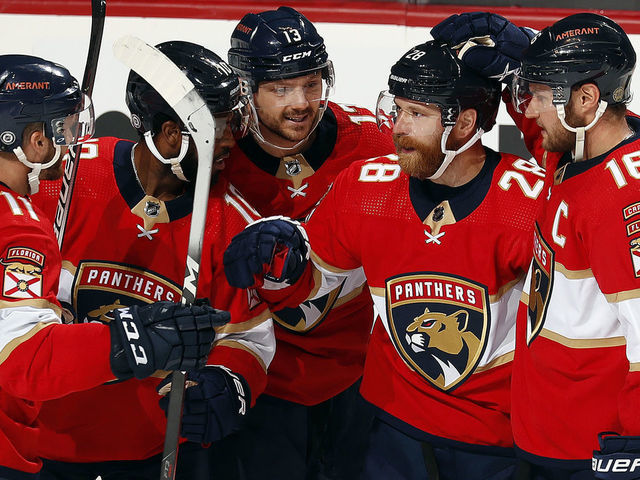 Florida Panthers Team History