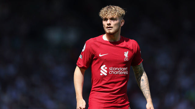 LONDON, ENGLAND - AUGUST 06: Harvey Elliott of Liverpool during the Premier League match between Fulham FC and Liverpool FC at Craven Cottage on August 6, 2022 in London, United Kingdom.