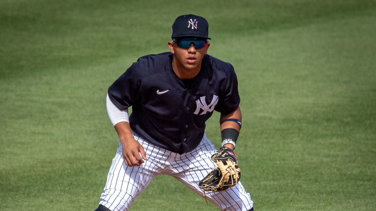 Tampa, Fla.: New York Yankees' prospect Oswald Peraza playing shortstop in a spring training game against the Detroit Tigers in the sixth inning at George M. Steinbrenner Field in Tampa, Florida, on March 5, 2021.