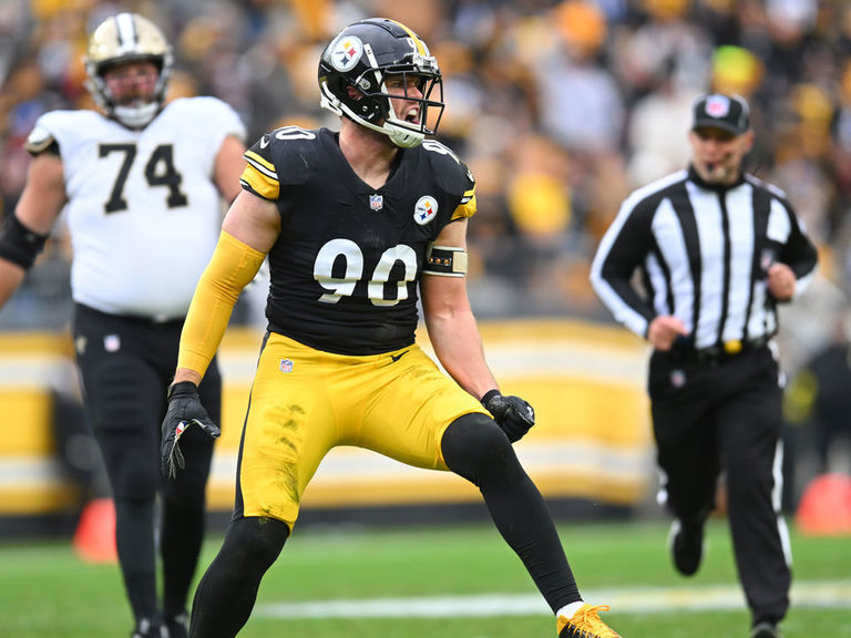 PITTSBURGH, PA - NOVEMBER 13: Pittsburgh Steelers linebacker T.J.