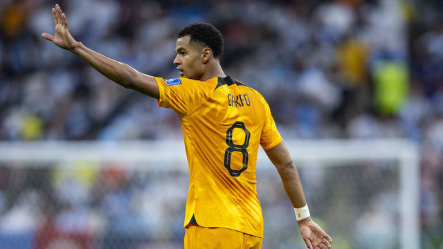 10 December 2022, Qatar, Lusail: Soccer: World Cup, Netherlands - Argentina, final round, quarterfinal, Lusail Stadium, Netherlands' Cody Gakpo gestures. Photo: Tom Weller/dpa