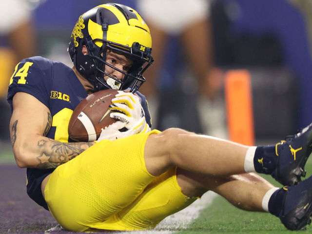 Michigan WR Roman Wilson's highlight reel TD catch leaves team in awe 