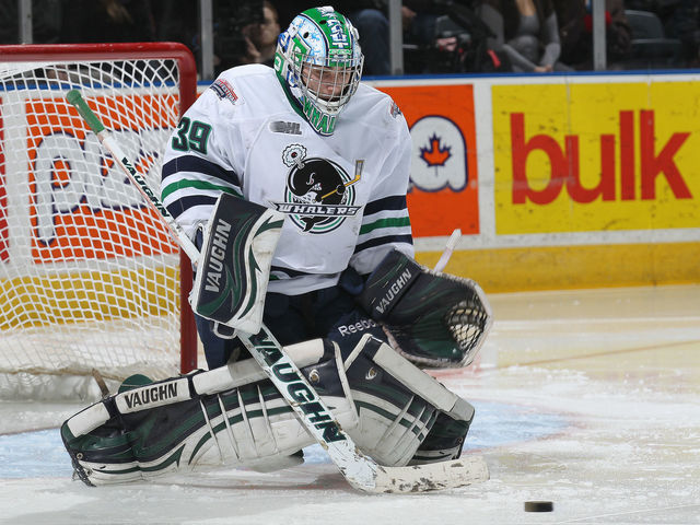 Scouting Report: Alex Nedeljkovic, G, Plymouth (OHL)