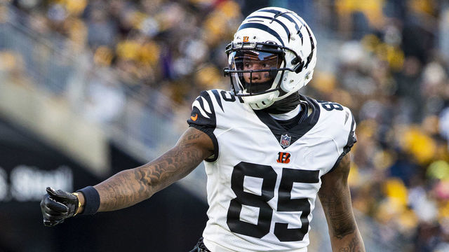 PITTSBURGH, PA - NOVEMBER 20: Cincinnati Bengals wide receiver Tee Higgins (85) looks on during the national football league game between the Cincinnati Bengals and the Pittsburgh Steelers on November 20, 2022 at Acrisure Stadium in Pittsburgh, PA.