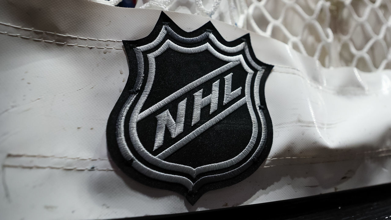 WASHINGTON, DC - DECEMBER 15: A detailed view of the NHL logo on the net before the game between the Washington Capitals and the Dallas Stars at Capital One Arena on December 15, 2022 in Washington, DC.