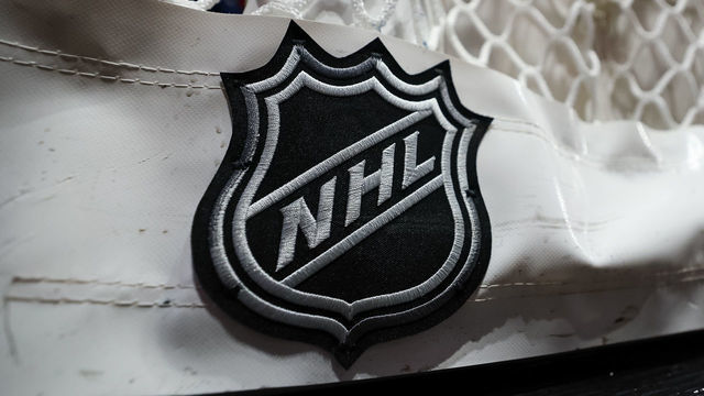 WASHINGTON, DC - DECEMBER 15: A detailed view of the NHL logo on the net before the game between the Washington Capitals and the Dallas Stars at Capital One Arena on December 15, 2022 in Washington, DC.