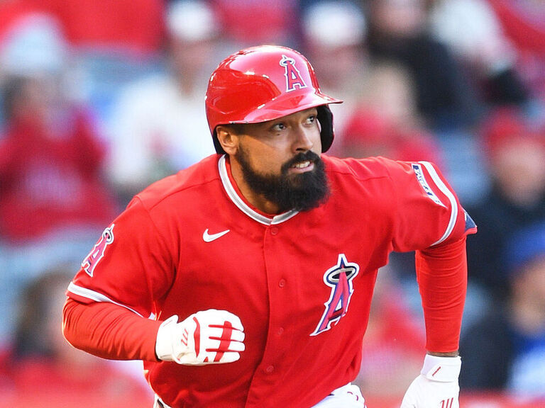 Angels' Rendon gets ban for fan altercation reduced to 4 games ...