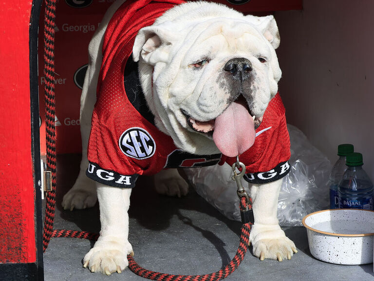 Georgia mascot Uga X to retire; Uga XI, named Boom, to be 'collared' at  ceremony Saturday - The Athletic