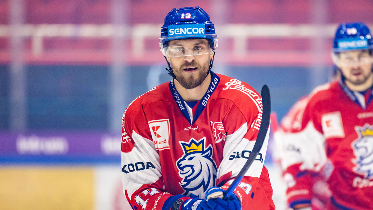TURKU, FINLAND - NOVEMBER 13: Jiri Smejkal of Czech Republic celebrates his goal during the Karjala Cup 2022 game between Czech Republic and Switzerland at Gatorade Center on November 13, 2022 in Turku, Finland.