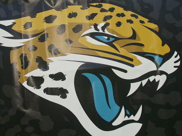 Jaguars ask fans if they're pumped for season; they're not