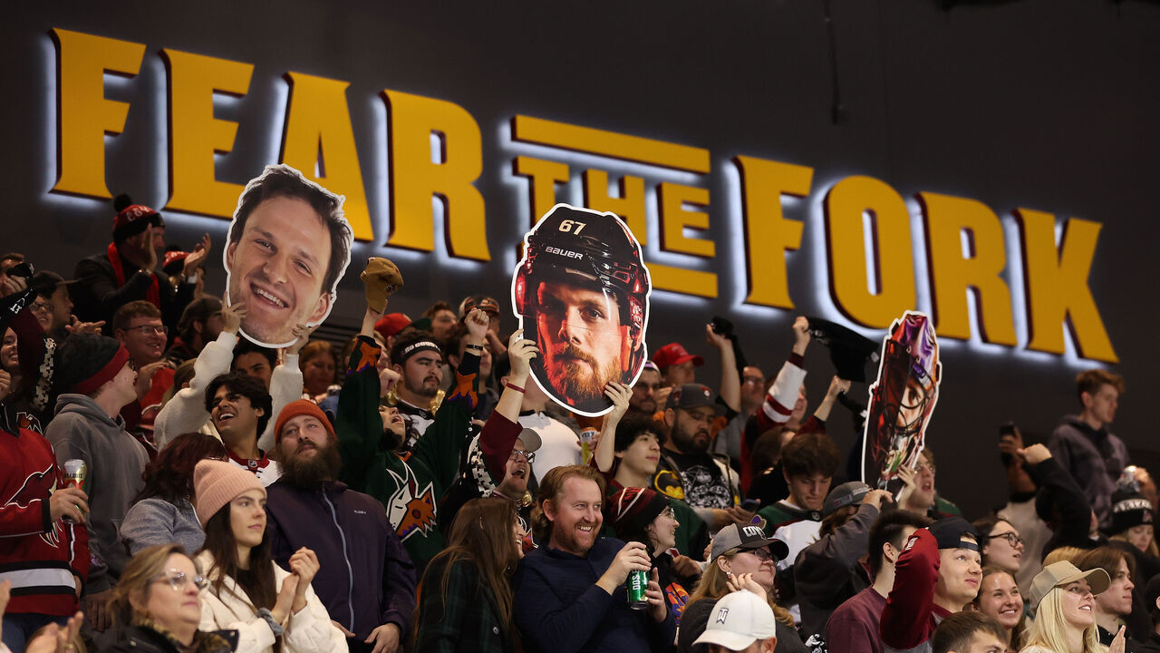TEMPE, ARIZONA - DECEMBER 11: Fans cheer after the Arizona Coyotes scored a goal against the Philadelphia Flyers during the second period of the NHL game at Mullett Arena on December 11, 2022 in Tempe, Arizona.