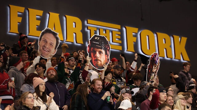 TEMPE, ARIZONA - DECEMBER 11: Fans cheer after the Arizona Coyotes scored a goal against the Philadelphia Flyers during the second period of the NHL game at Mullett Arena on December 11, 2022 in Tempe, Arizona.