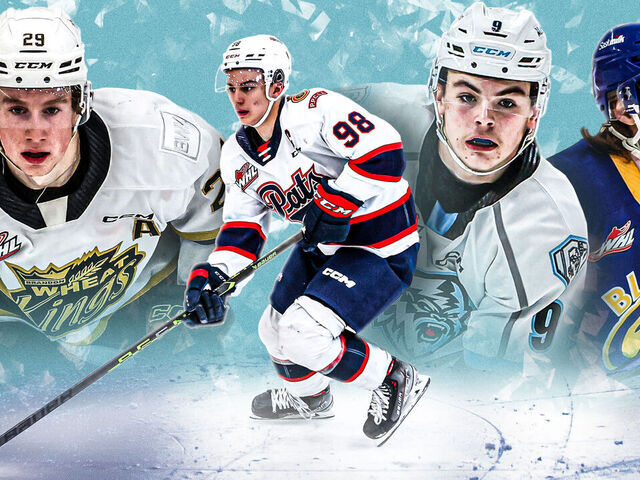 Future Stars: The Top 30 Prospects of the 2011 NHL Draft