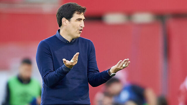 MALLORCA, SPAIN - JUNE 04: Andoni Iraola, head coach of Rayo Vallecano reacts during the LaLiga Santander match between RCD Mallorca and Rayo Vallecano at Visit Mallorca Estadi on June 04, 2023 in Mallorca, Spain.