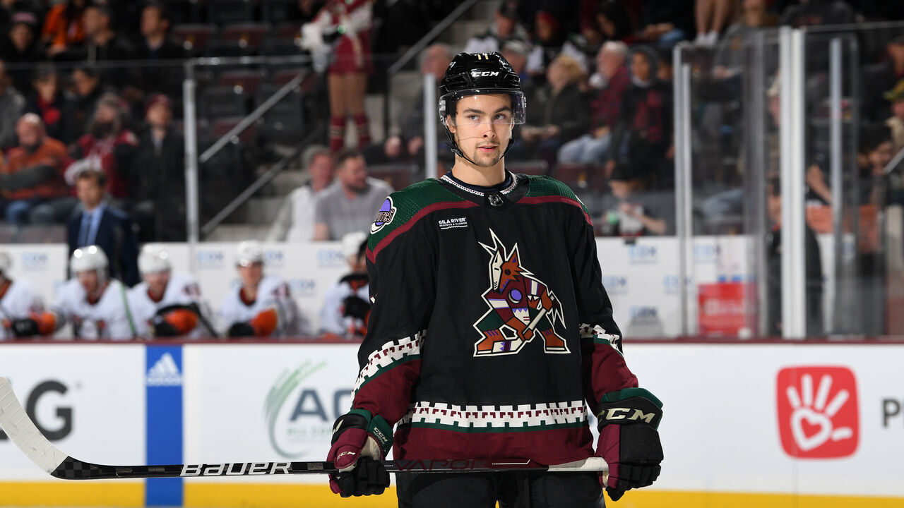 TEMPE, ARIZONA - JANUARY 24: Dylan Guenther #11 of the Arizona Coyotes gets ready during a face off against the Anaheim Ducks at Mullett Arena on January 24, 2023 in Tempe, Arizona.