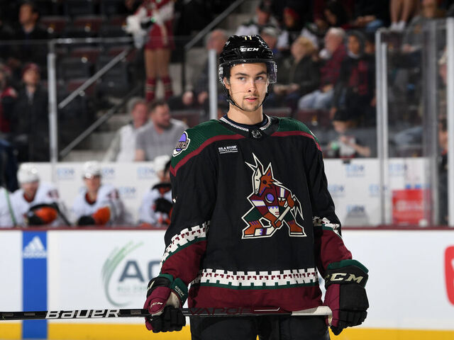 TEMPE, ARIZONA - JANUARY 24: Dylan Guenther #11 of the Arizona Coyotes gets ready during a face off against the Anaheim Ducks at Mullett Arena on January 24, 2023 in Tempe, Arizona.
