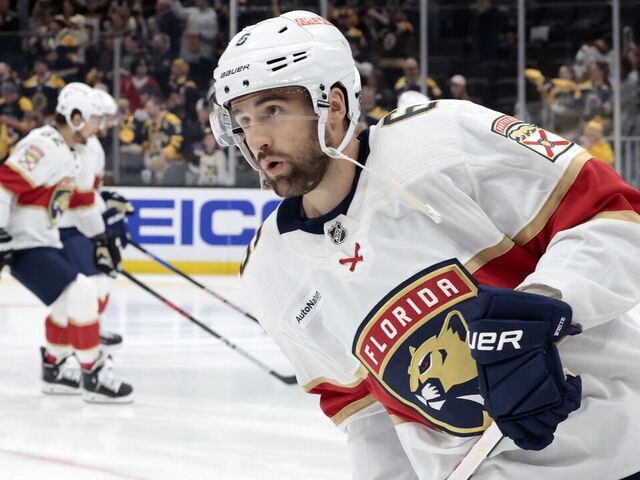 Download Florida Panthers Hockey Players Wallpaper