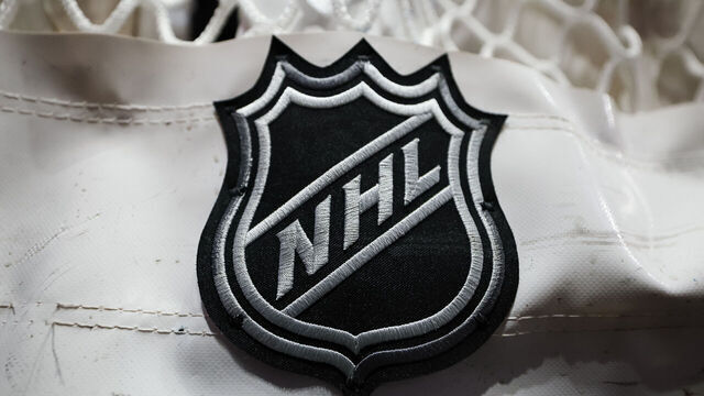 WASHINGTON, DC - DECEMBER 15: A detailed view of the NHL logo on the net before the game between the Washington Capitals and the Dallas Stars at Capital One Arena on December 15, 2022 in Washington, DC.
