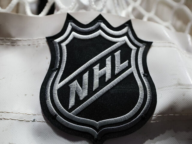 WASHINGTON, DC - DECEMBER 15: A detailed view of the NHL logo on the net before the game between the Washington Capitals and the Dallas Stars at Capital One Arena on December 15, 2022 in Washington, DC.