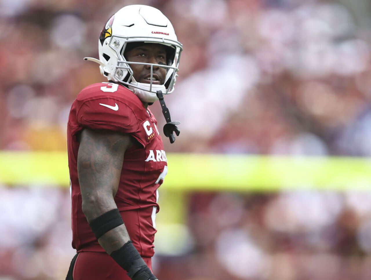 Cardinals activate Jay from DL