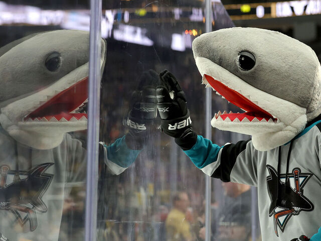 LAS VEGAS, NEVADA - FEBRUARY 16: A San Jose Sharks fan wearing a shark head bangs on the glass before the start of the second period of their game against the Vegas Golden Knights at T-Mobile Arena on February 16, 2023 in Las Vegas, Nevada.